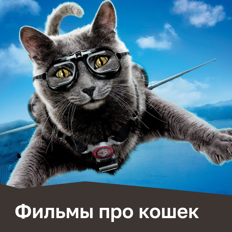 Фильмы про кошек