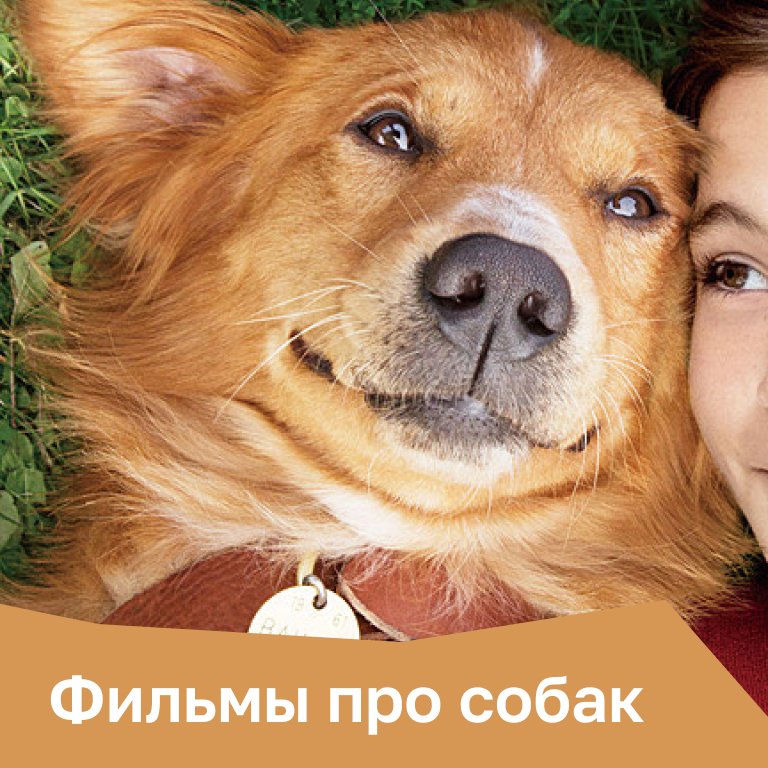 Фильмы про собак
