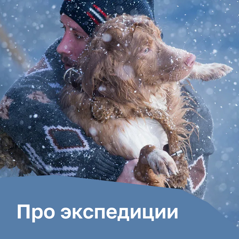 Фильмы про экспедиции