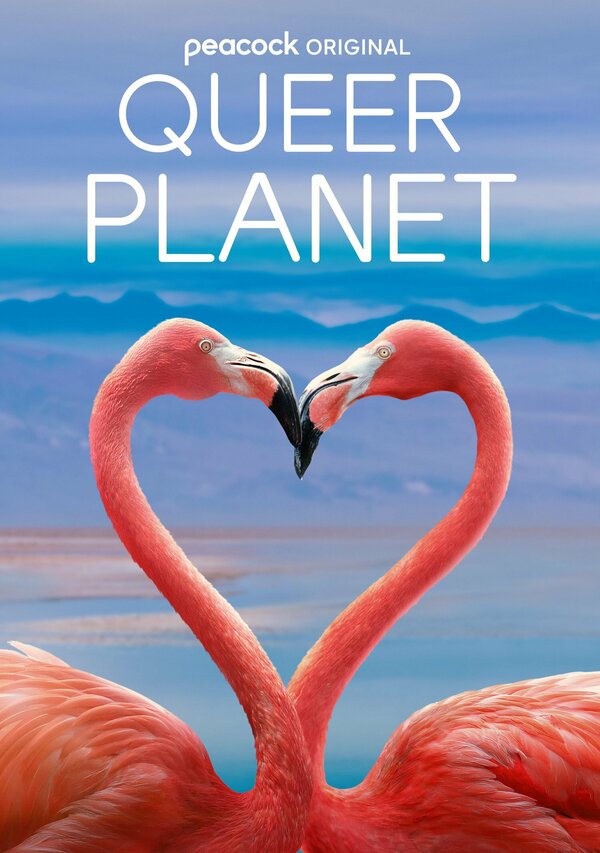 Queer Planet