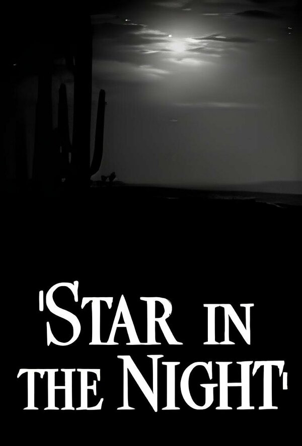 Звезда в ночи