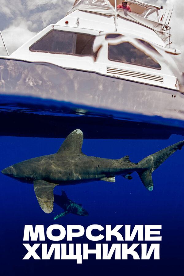Постер Морские хищники Постер Морские хищники