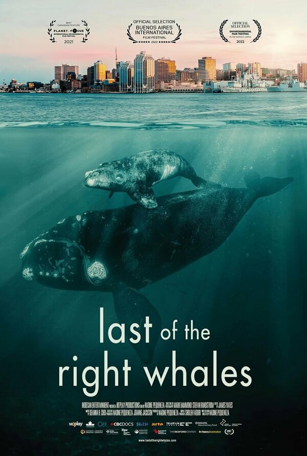 Last of the Right Whales