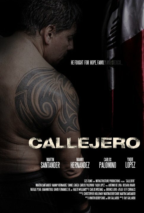 Постер фильма Callejero