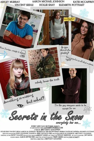Постер Secrets in the Snow (2012)