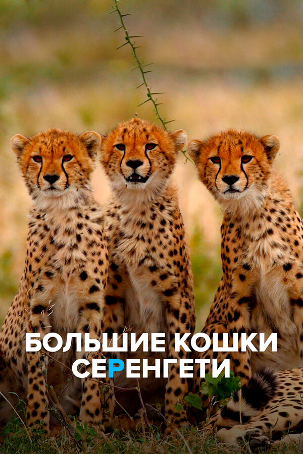 Постер фильма Большие кошки Серенгети