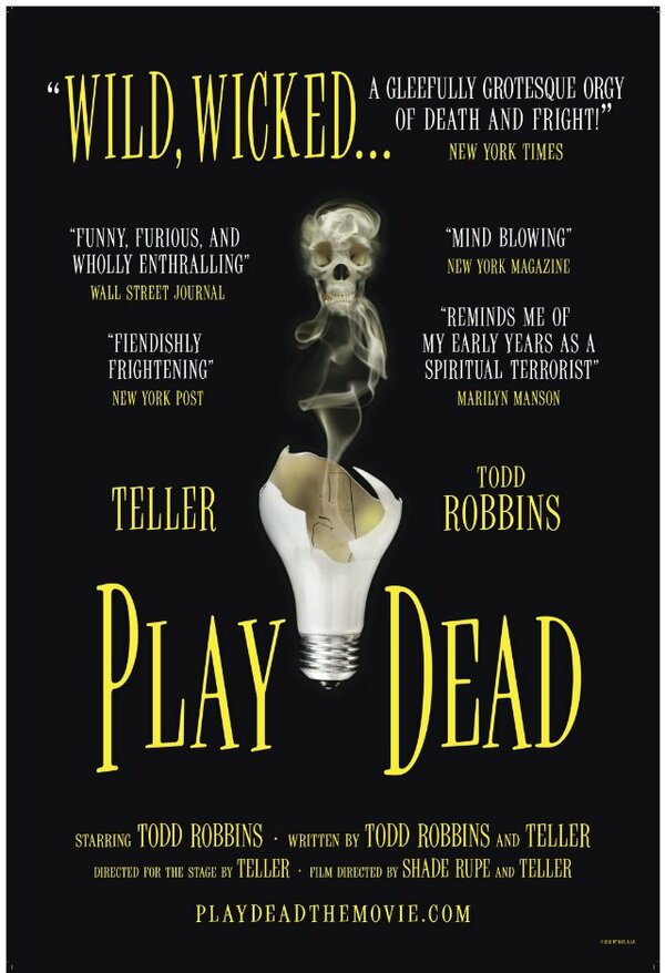 Постер фильма Play Dead
