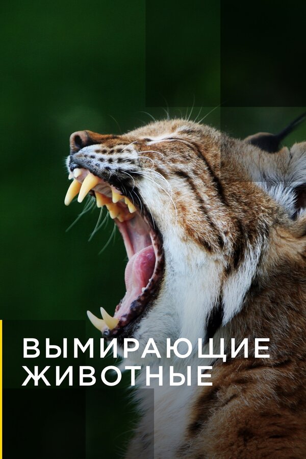 Постер сериала Вымирающие животные