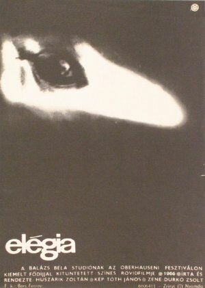 Постер Элегия (1965)