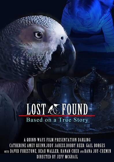 Постер фильма 48 hour Lost & Found (2020 IV)