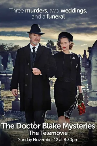 Постер Доктор Блейк: Семейный портрет (2017)