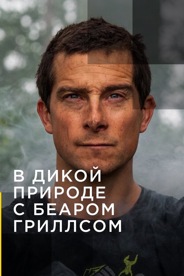 Постер сериала В дикой природе с Беаром Гриллсом