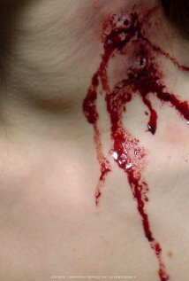 Постер фильма Blood + Roses