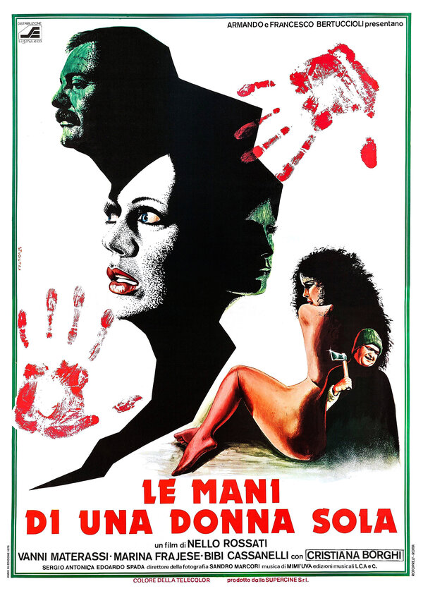 Постер фильма Le mani di una donna sola