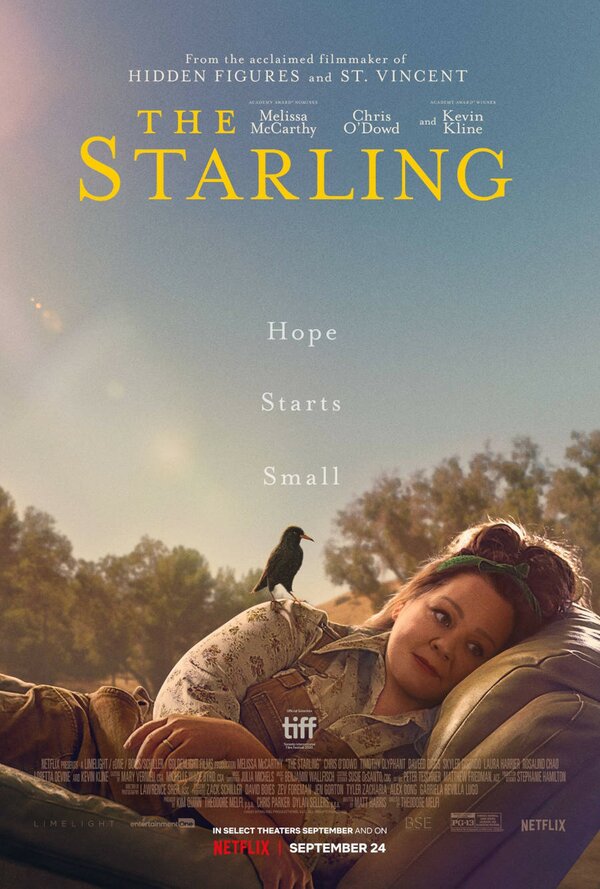 Постер фильма Скворец