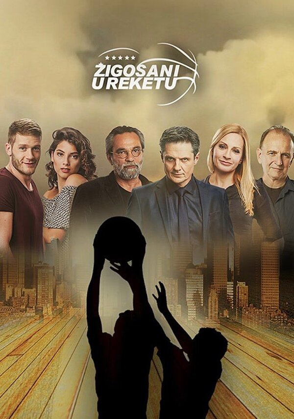 Постер сериала Zigosani u reketu