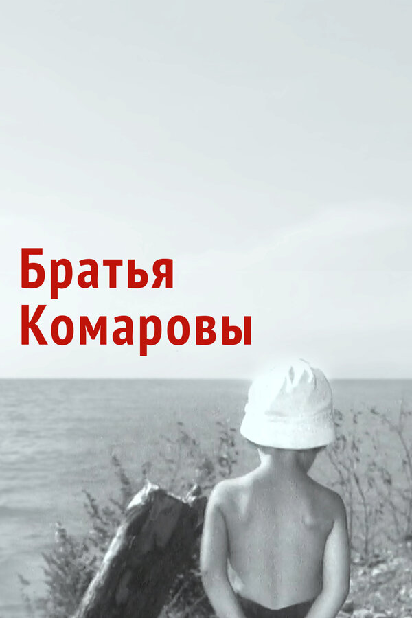 Постер фильма Братья Комаровы