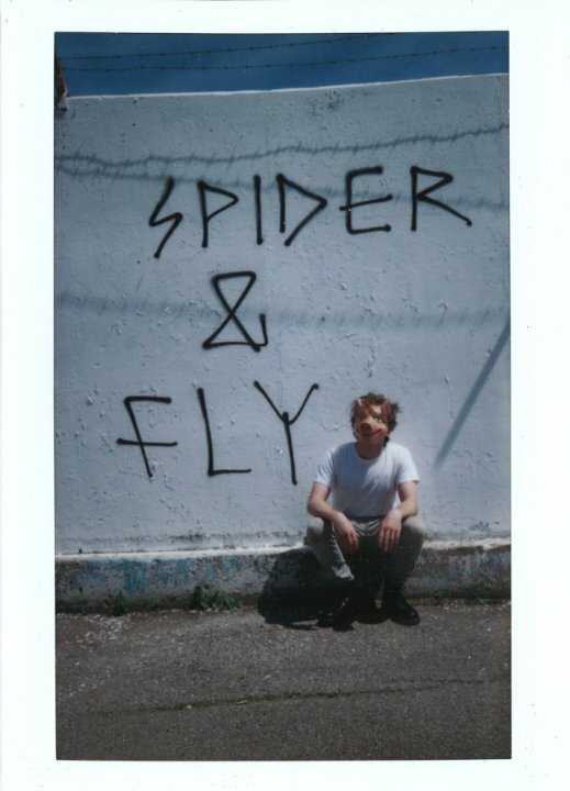 Постер фильма Spider & Fly