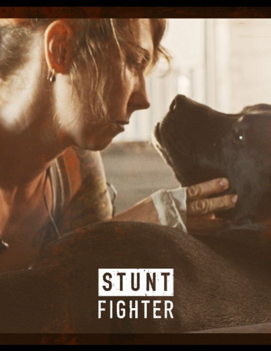Постер фильма Stunt Fighter