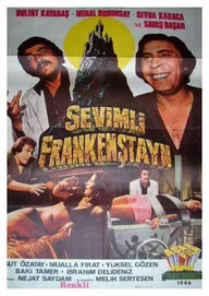 Sevimli Frankenstayn