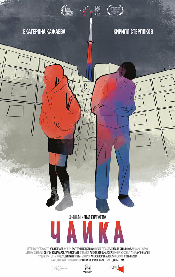 Постер фильма Чайка