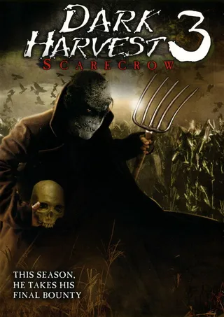 Постер Пугало 6: Тёмный урожай 3 (2004)