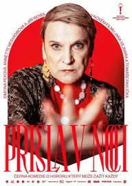 Prisla v noci