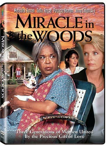 Постер фильма Miracle in the Woods