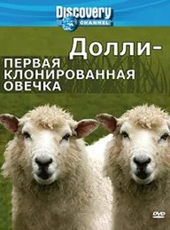 Discovery: Долли — первая клонированная овечка