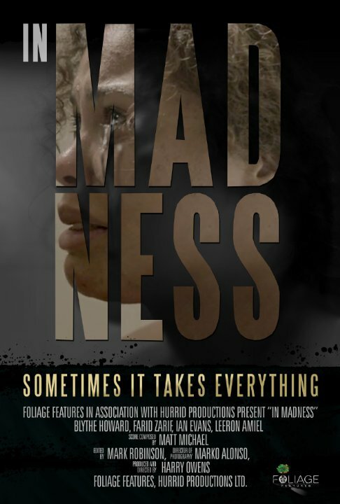 Постер фильма In Madness