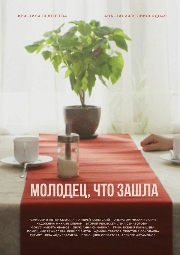 Постер фильма Молодец, что зашла