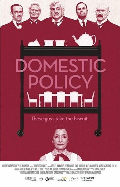Постер фильма Domestic Policy