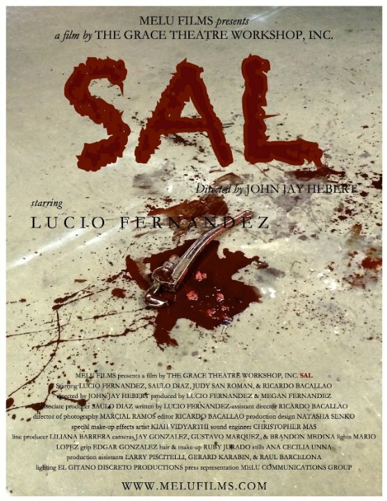 Постер фильма Sal