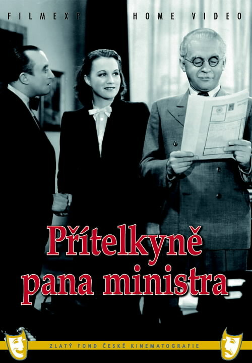 Постер фильма Подруга господина министра