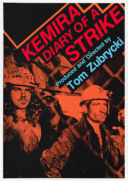 Постер фильма Kemira: Diary of a Strike