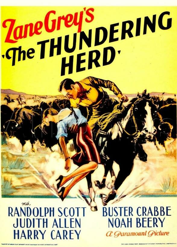 Постер фильма The Thundering Herd