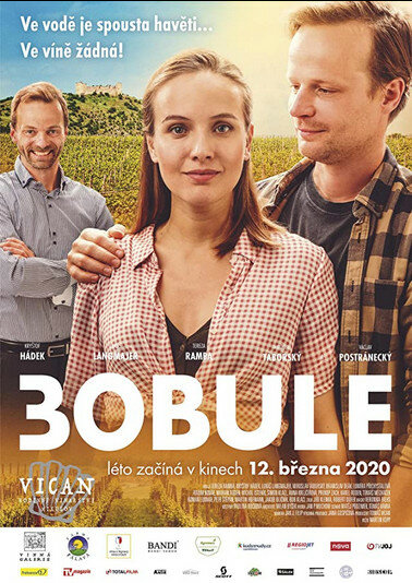 Постер фильма 3Bobule