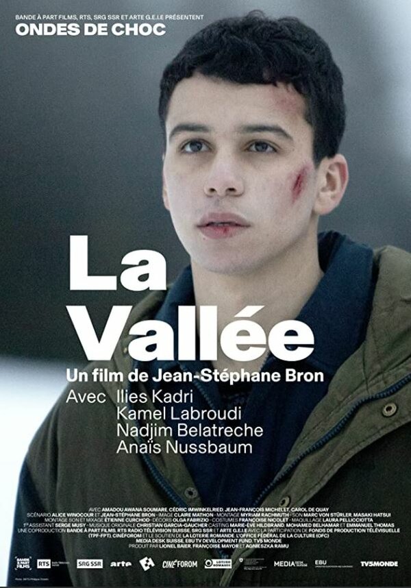 Постер фильма La vallée
