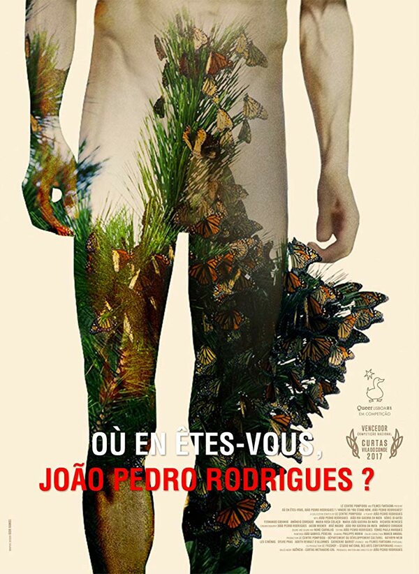 Постер фильма Où en êtes-vous, João Pedro Rodrigues?