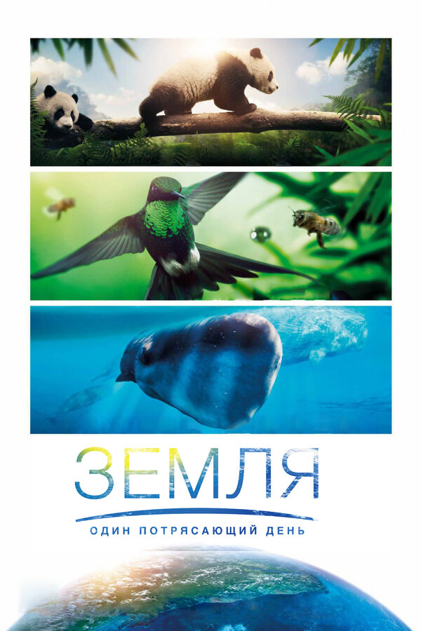 Постер фильма Земля: Один потрясающий день