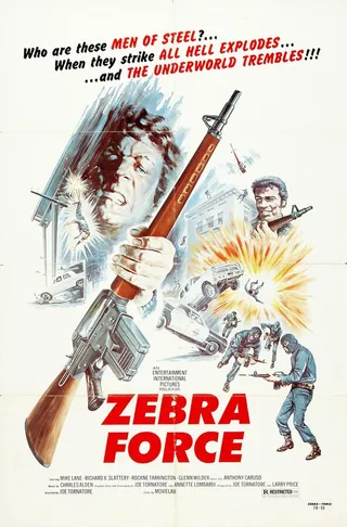 Постер Отряд «Зебра» (1976)