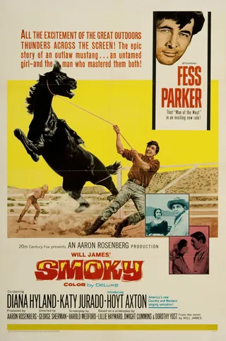 Постер Дымка (1966)