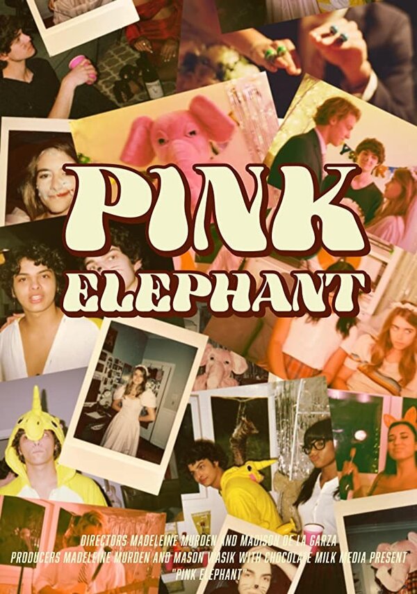 Постер фильма Pink Elephant