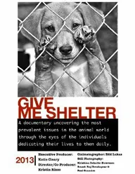 Give Me Shelter