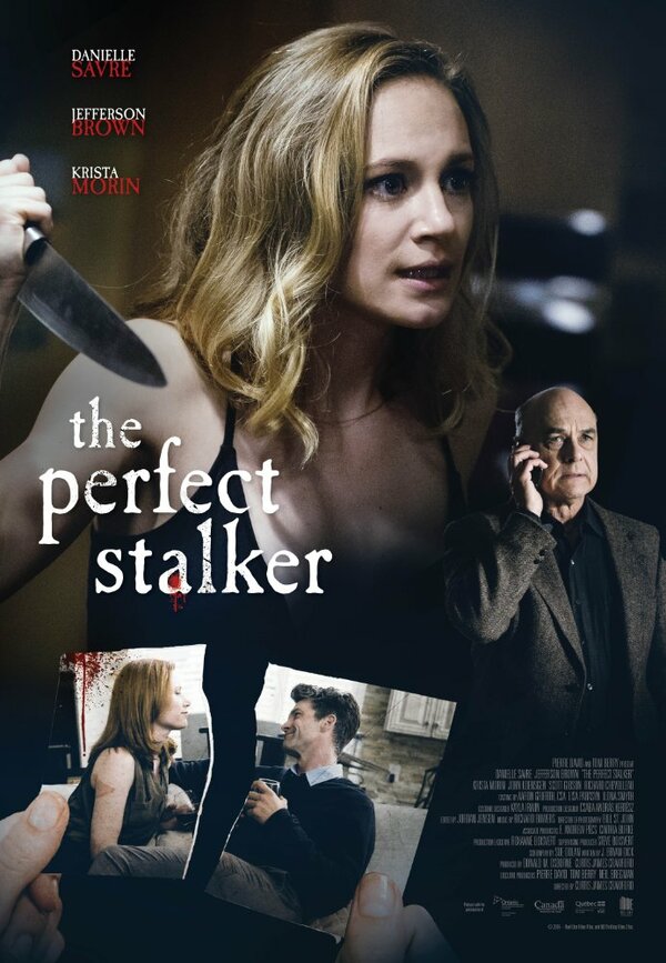 Постер фильма The Perfect Stalker