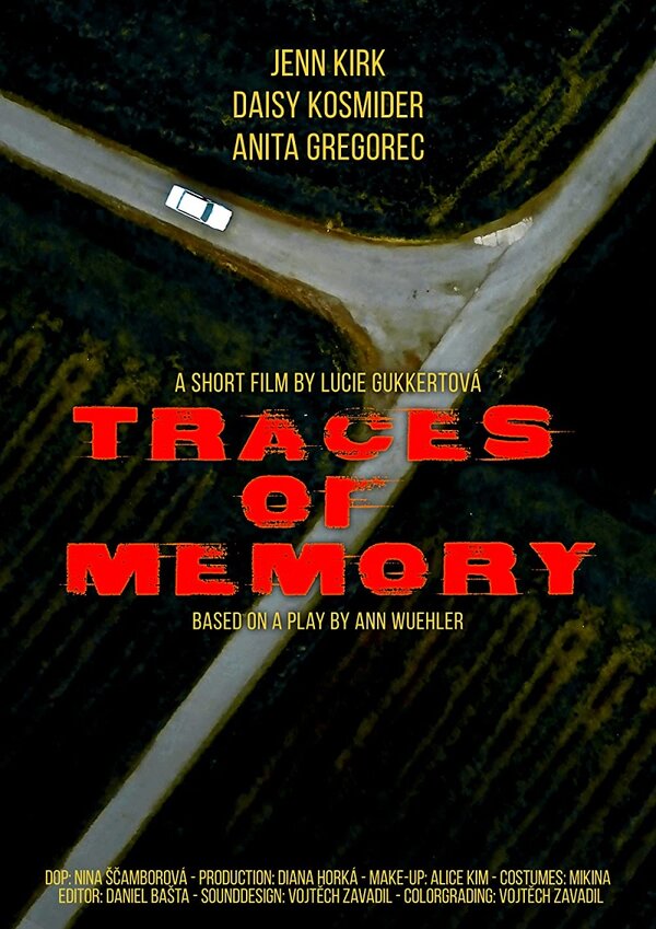 Постер фильма Traces of Memory