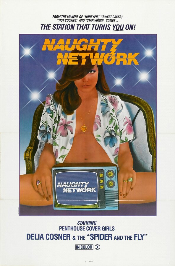 Постер фильма Naughty Network