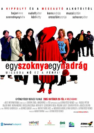 Постер Одна юбка, одни брюки (2005)