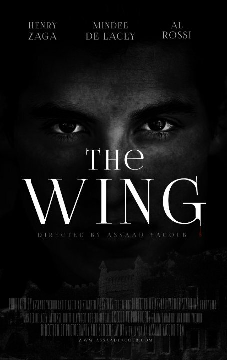 Постер фильма The Wing