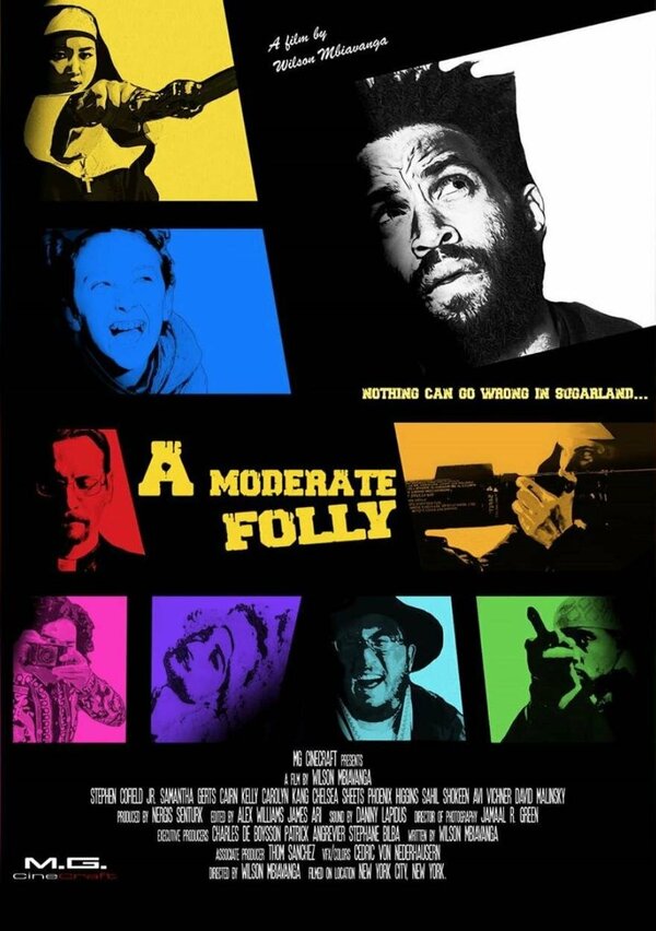 Постер фильма A Moderate Folly
